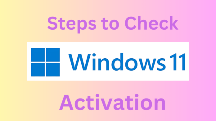 Steps to Check Windows 11 Activation